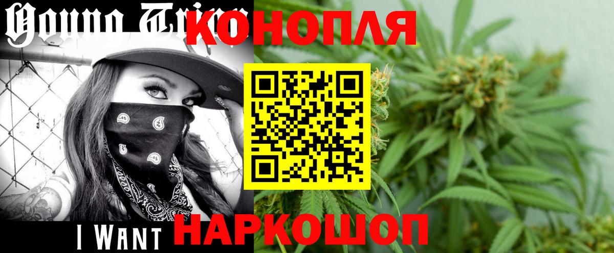 Бошки Шишки Ganja  Шишки марихуана планчик  Канабис MAZAR  Кировск  Вход с VPN  Бошки Шишки VHQ 